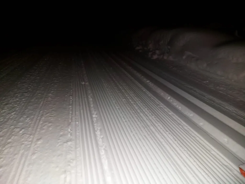 Дом лисья грива