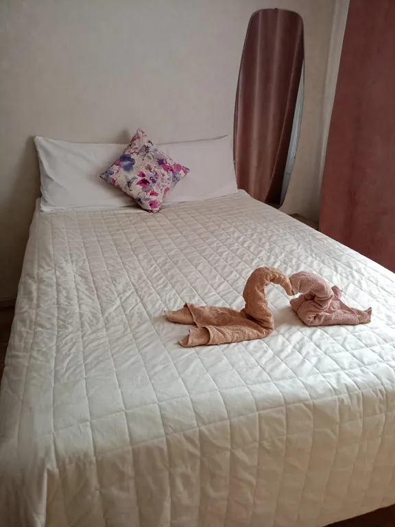 Вместительная однокомнатная квартира на 6 гостей