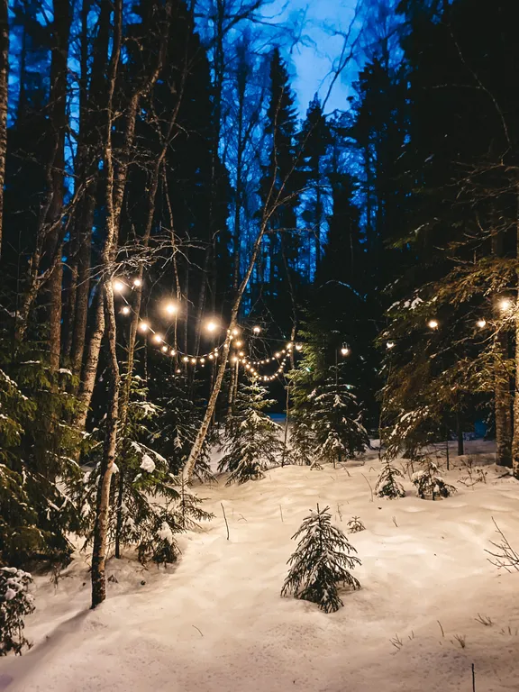 Коттедж комфорт класса с видом на лес