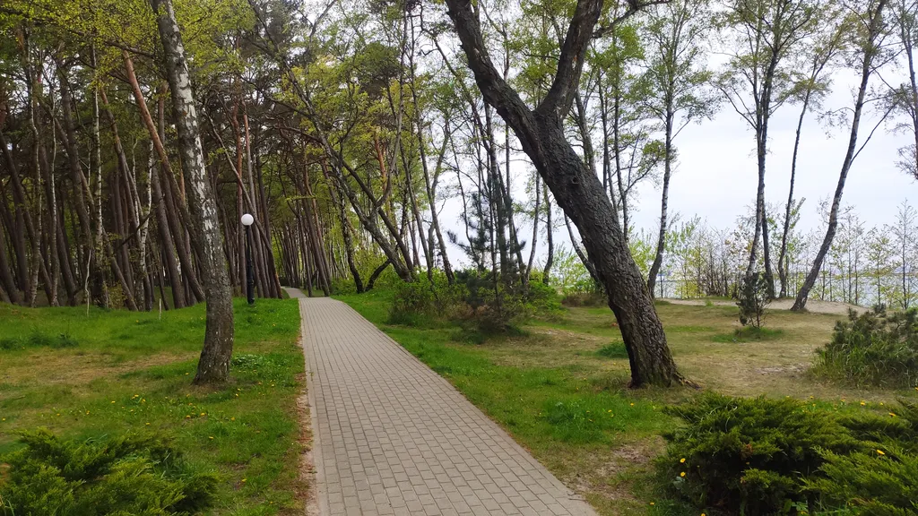 Квартира в городе Пионерском в 100 метрах от городского пляжа