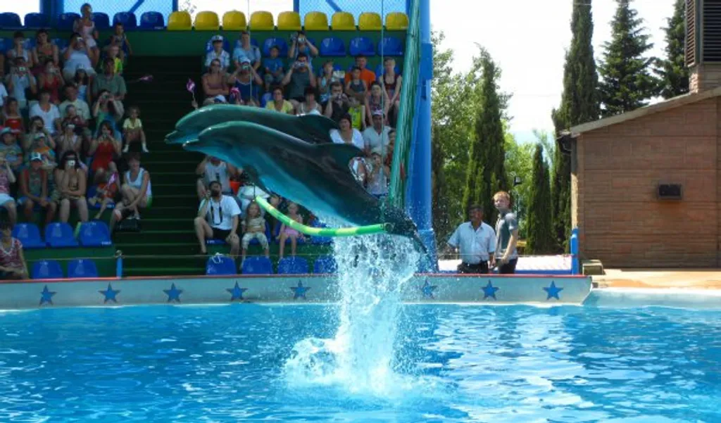 Квартира 1-комнатная Квартира — Адлер