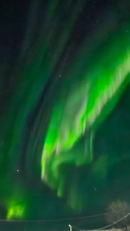 Уютная квартира в сердце Териберки