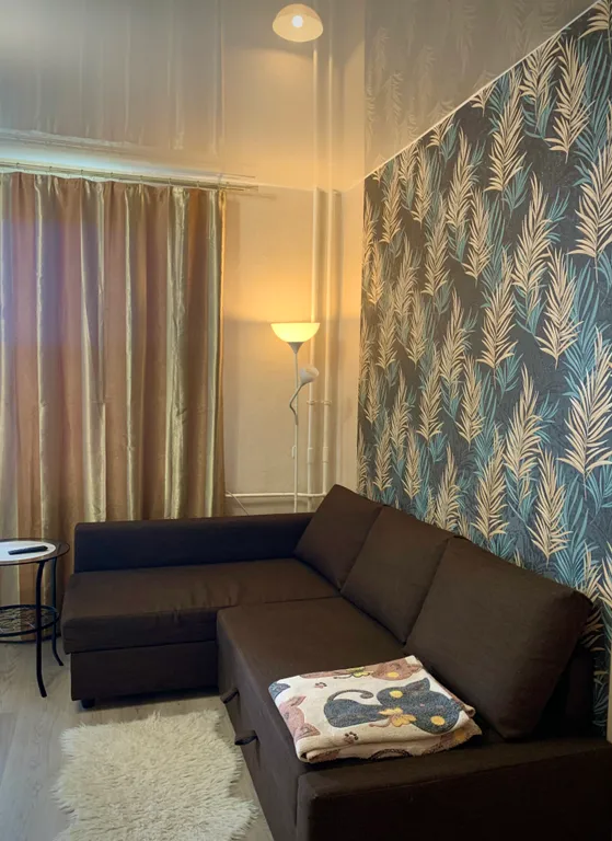 Студия в доме у метро