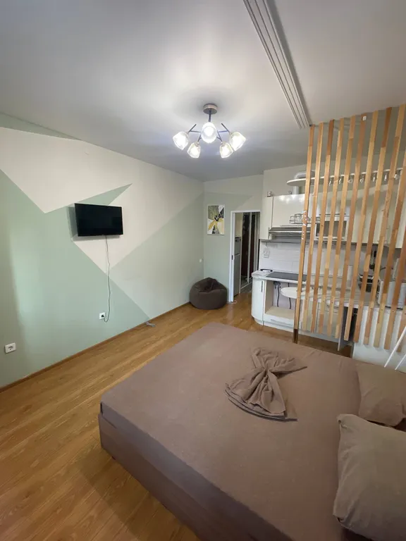 Уютна студия в Спутнике