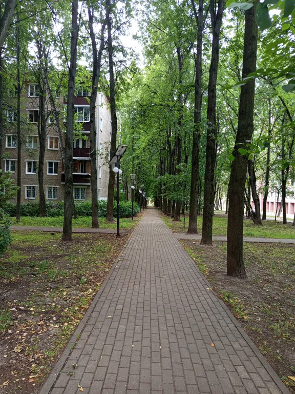 Студия в 7 минутах пешком от метро Щелковская