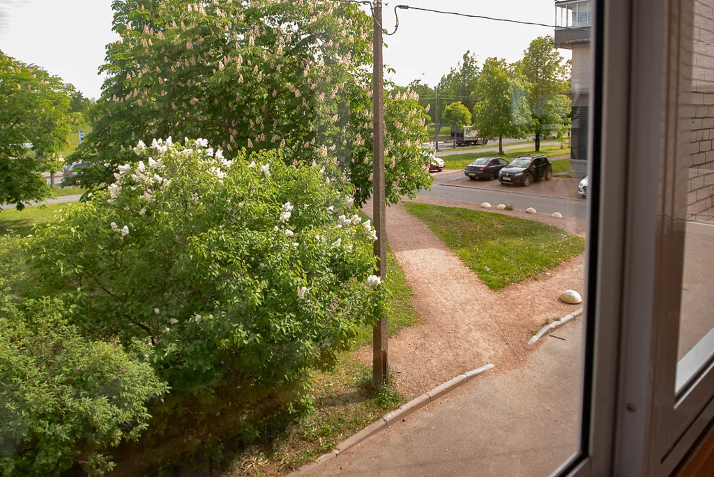 С Видом на Собор Петра и Павла