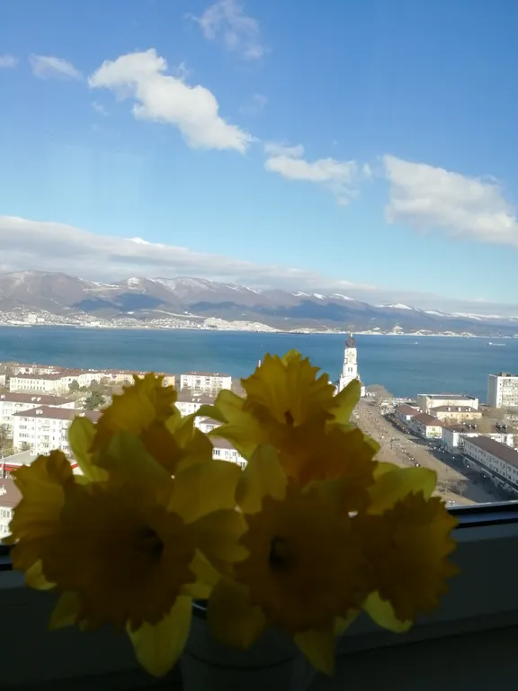 Уютная квартира с лучшим видом в городе