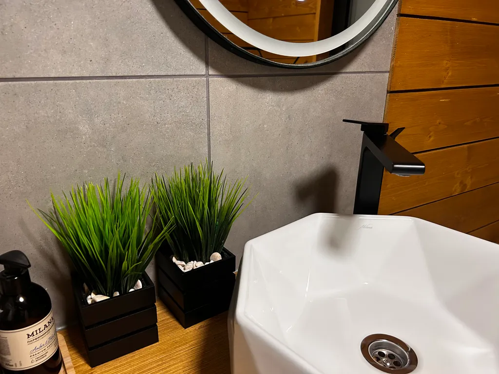 Туя пик Дом в Сорочанах с камином и баней на дровах