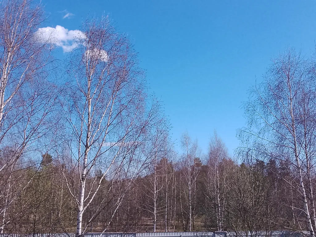 Дом с зоной отдыха на зимние каникулы на природе