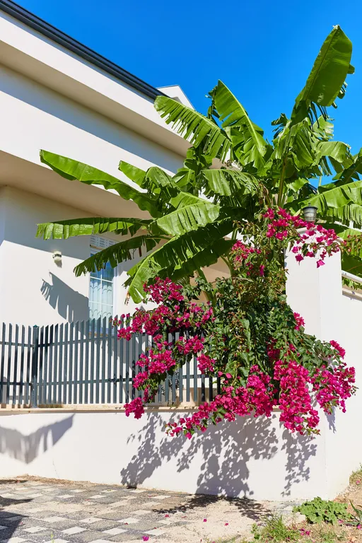 Квартира в новом комплексе Монтана