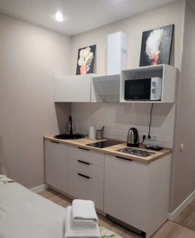 Апартамент в центре