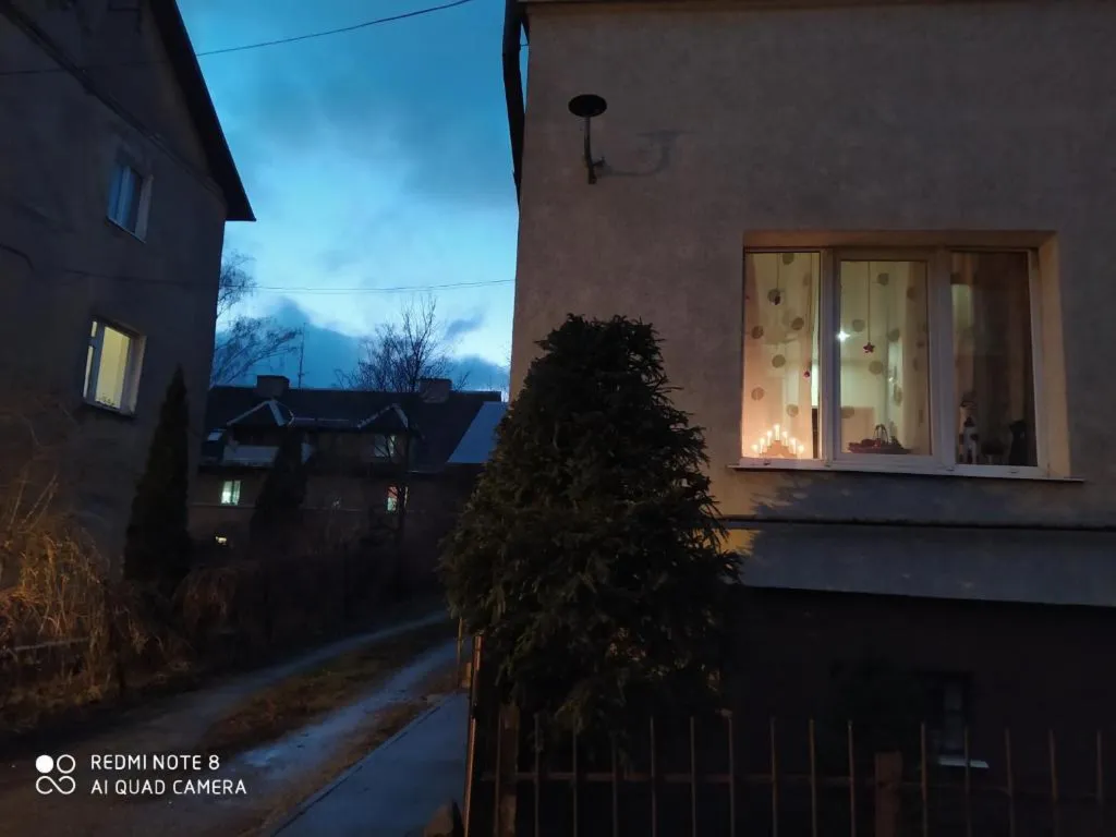 Прусский Кот  (в историческом районе Ratshof на границе с Amalienau)