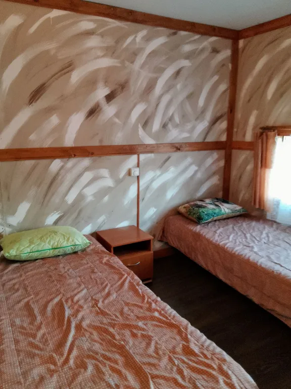 Коттедж Большой дом — Сиверский