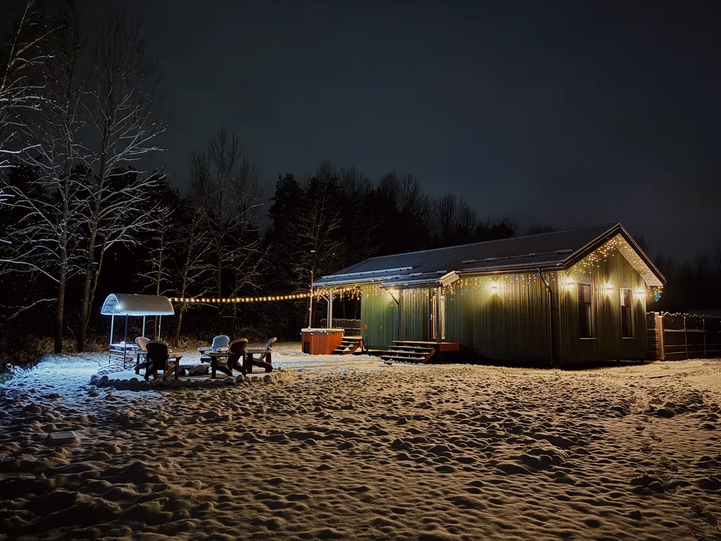 Зелёный дoм у сocнoвoгo леса с купeлью и теpраcoй