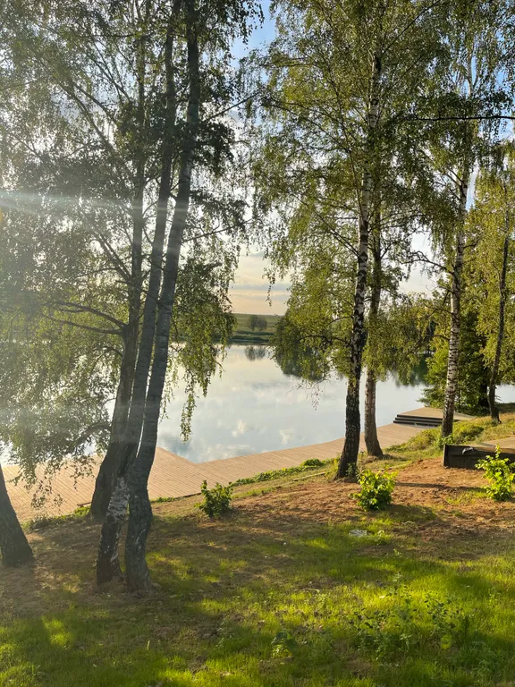 Уютный дом на берегу озера в березовой роще