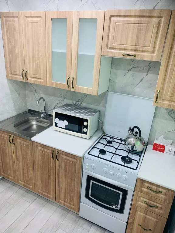 Квартира в центре