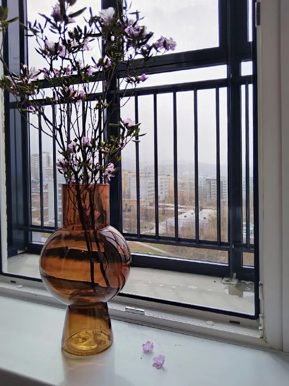 Квартира Квартира с видом на Сопку — Красноярск