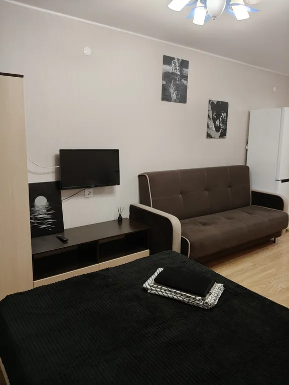 Квартира - студия