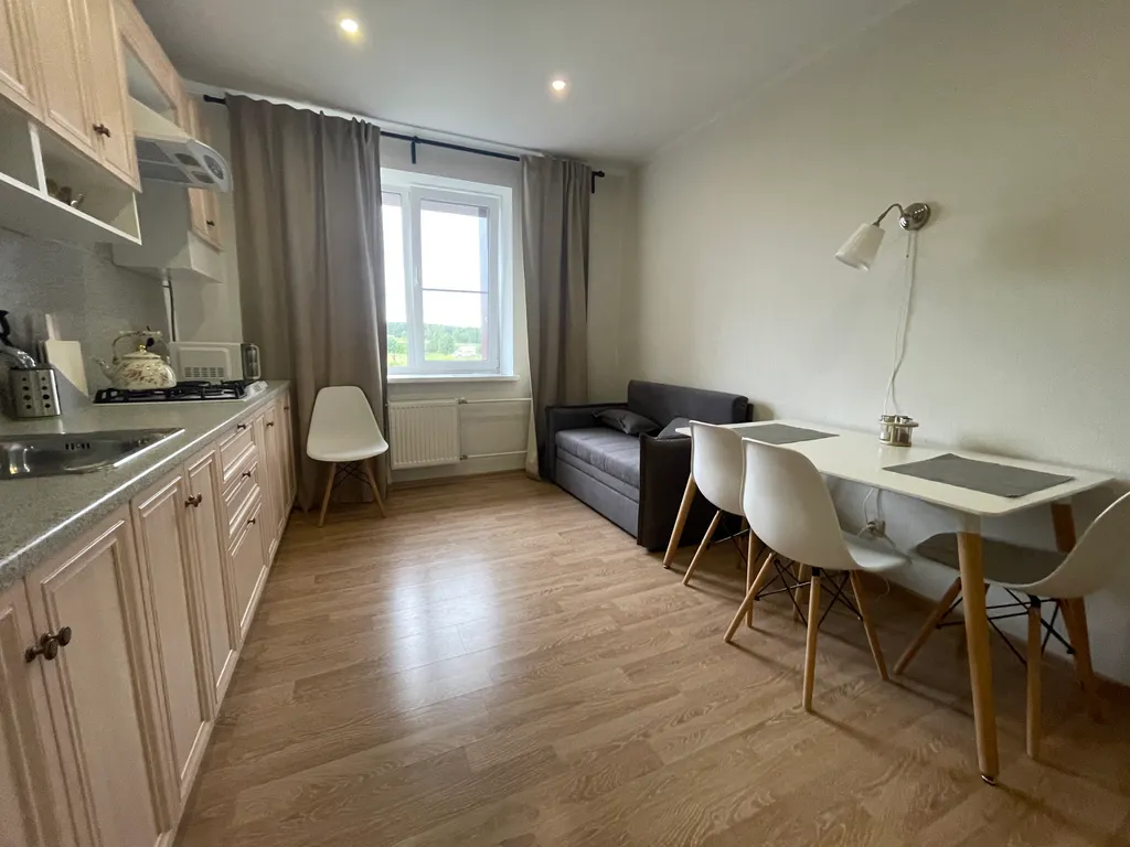 Просторная 1-комнатная квартира рядом с пляжем и отелем Radisson в Завидово