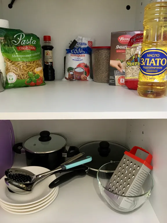 Атмосфера уюта и тишины барнаульского леса