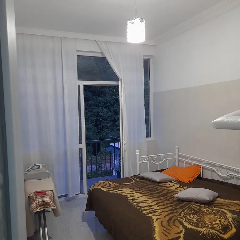 Apartment in Bordjomi