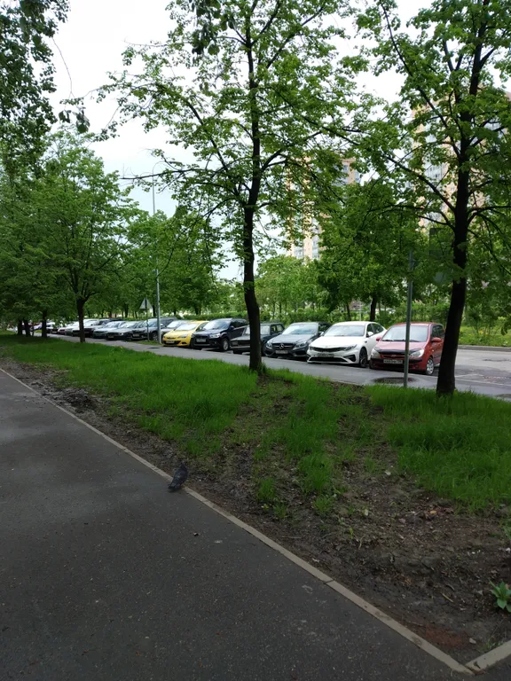 Бирюза
