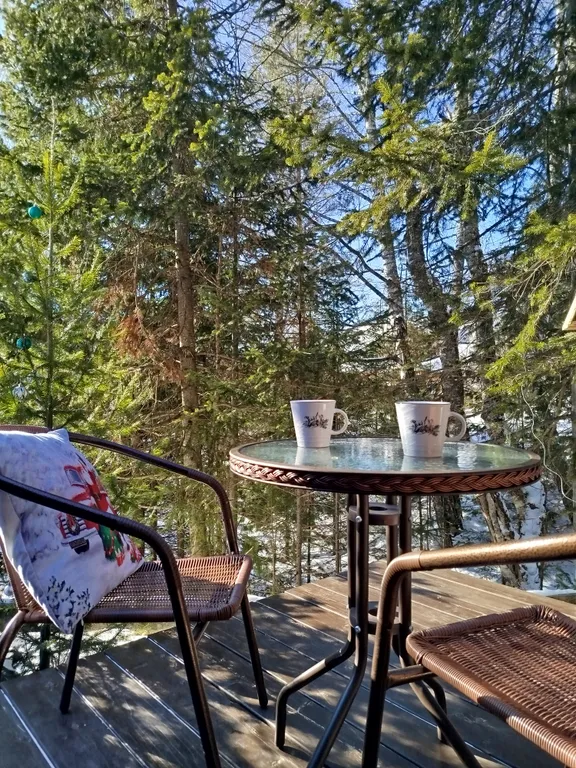 Атмосферный дом шале с видом на лес