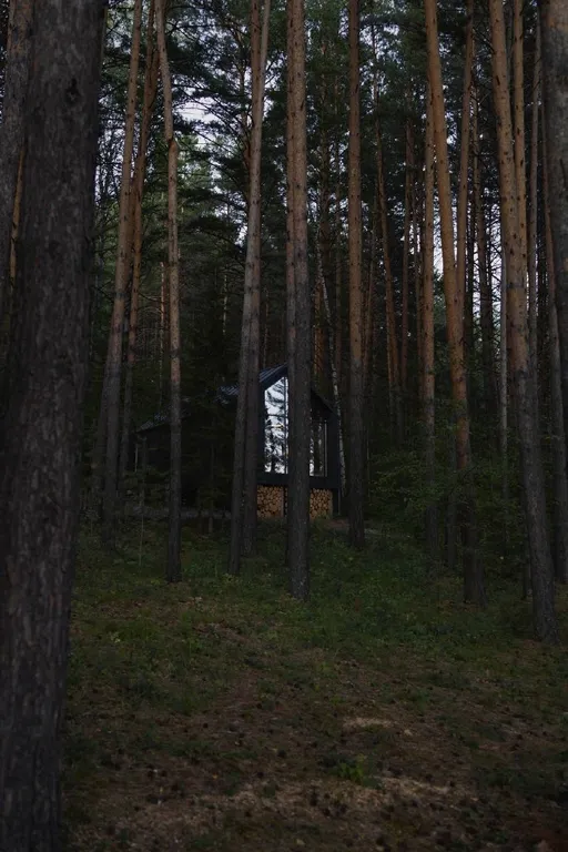 Зелёный дом