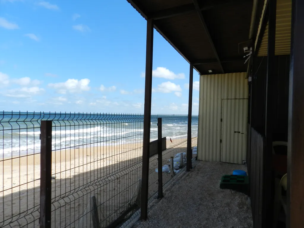 Квартира Уютная комната с видом на море — аренда посуточно в Голубицкая