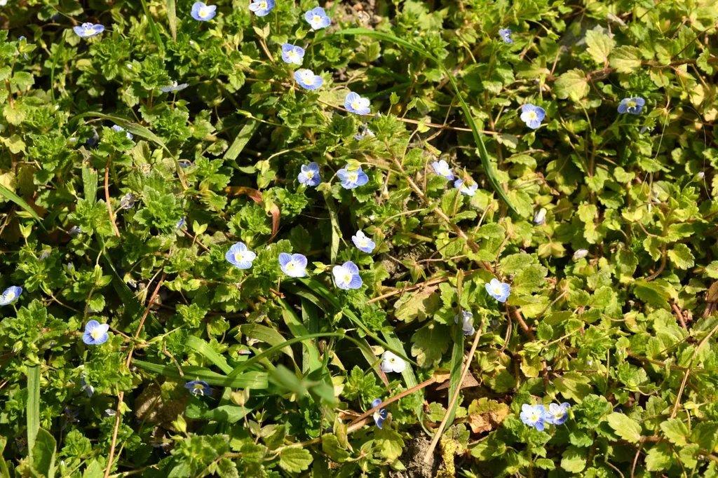 Дом-замок на море