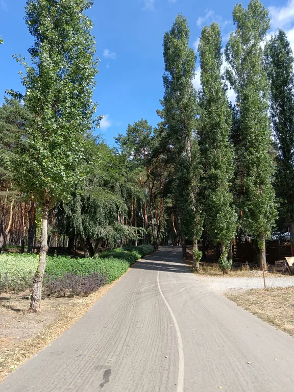 Уютная квартира с видом на водохранилище