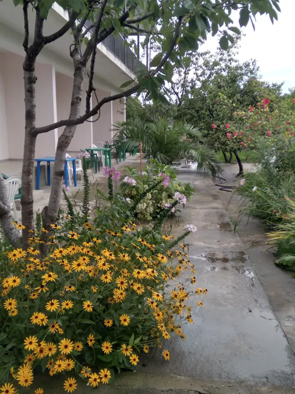 Номера с видом на горы