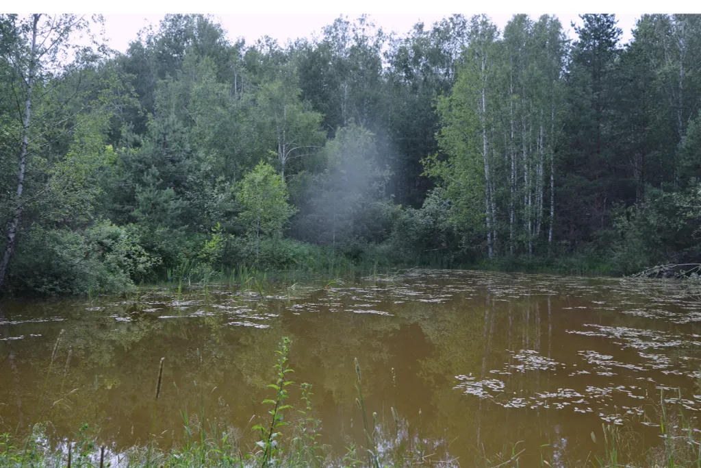 Коттедж Домик на краю леса с комфортом городской квартиры — Шатура