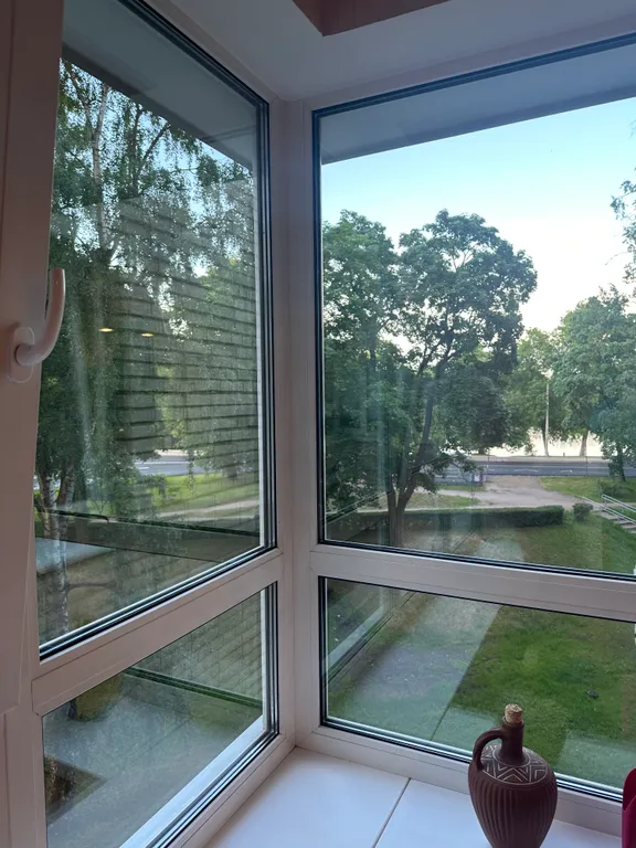 Уютная квартира в доме на берегу озера Разлив