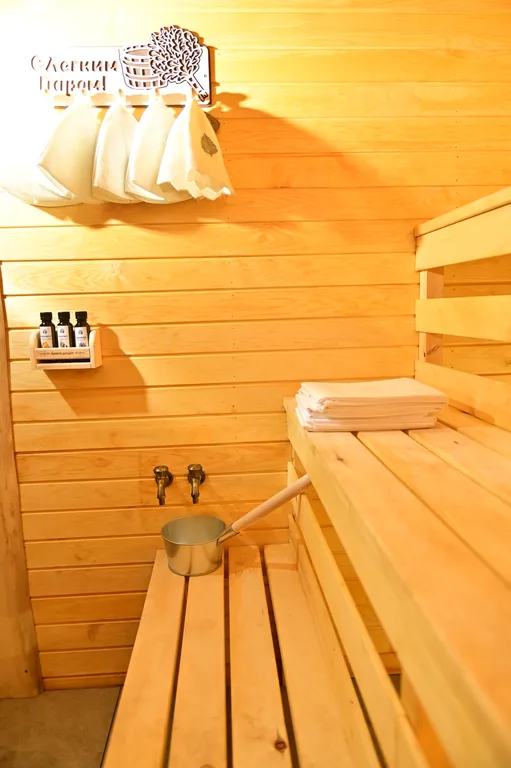 Дом с баней на дровах, банным чаном и большой гостиной