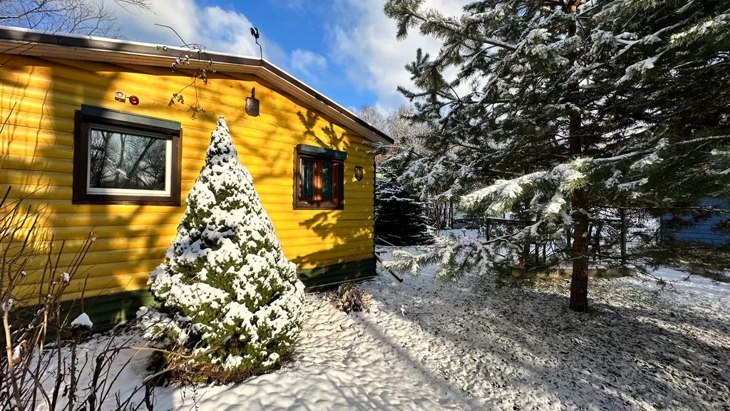 Коттедж Коттедж Курортное шале в писательском Переделкино — Москва