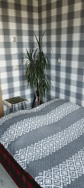 Квартира Уютная комната у метро — Санкт-Петербург