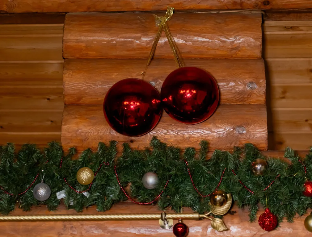 Гуси Лебеди