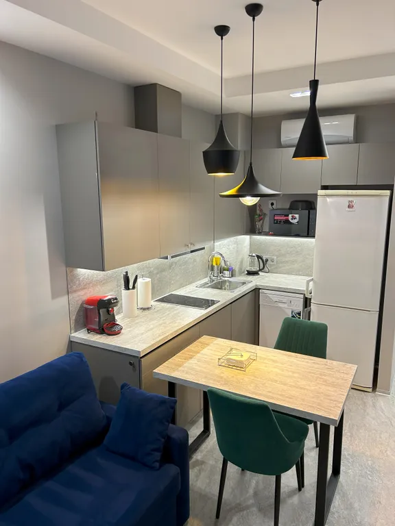 1 комн. квартира Уют на курорте Охта-Парк