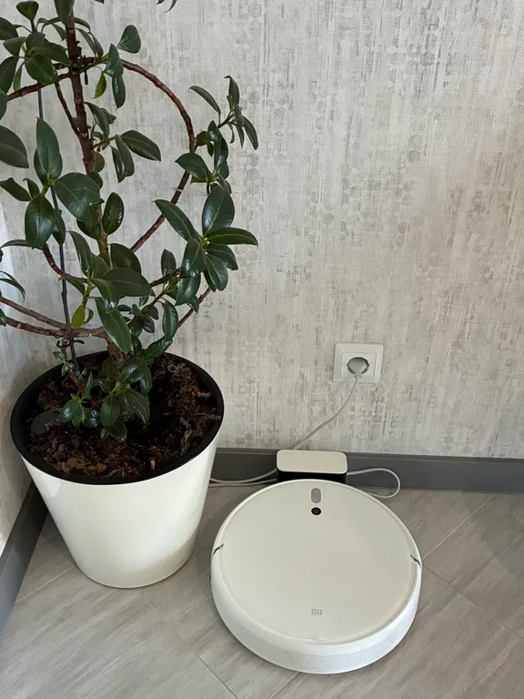 Квартира с видом на лес Куршской косы