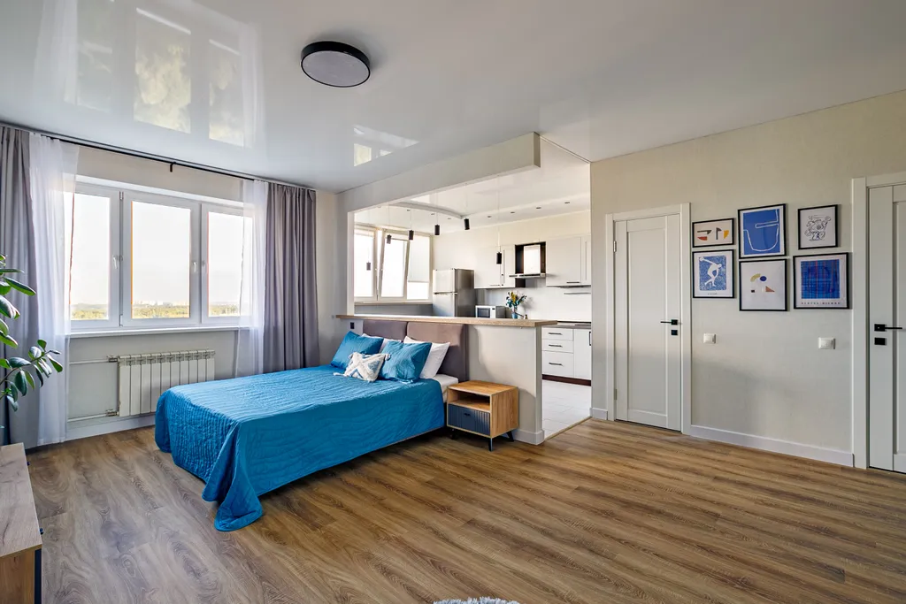 Просторная студия с чудесным видом на речку