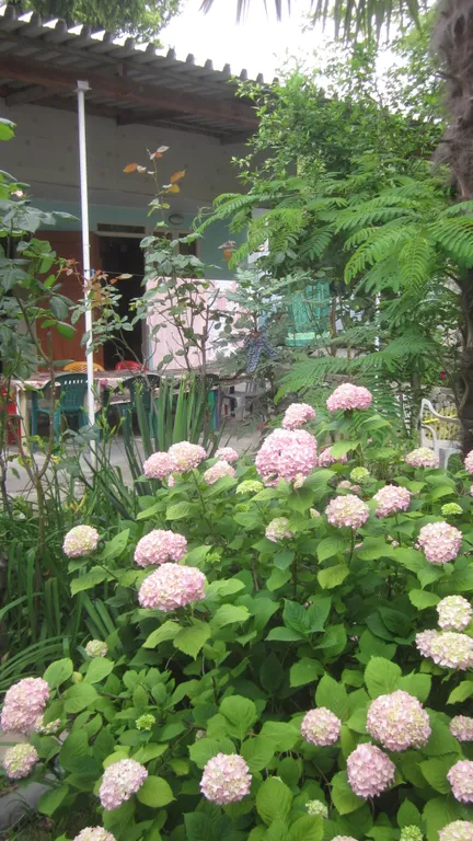 Квартира Комната — Лазаревское