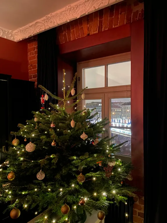 Квартира Апартаменты трехкомнатные с видом на Фонтанку — Санкт-Петербург