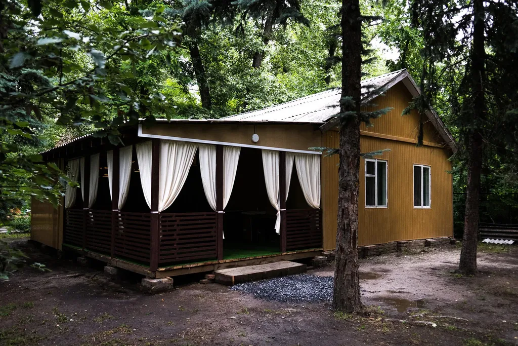 Мечта