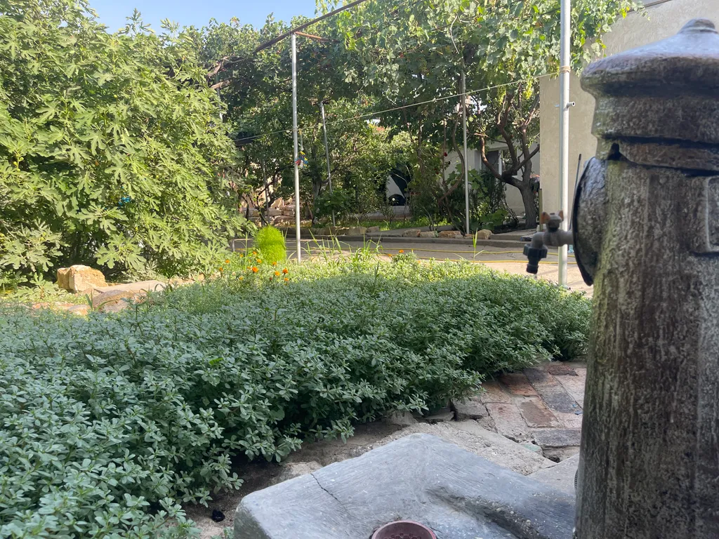 Частный дом.Участок 5 соток.Без соседей.В пешей доступности от моря