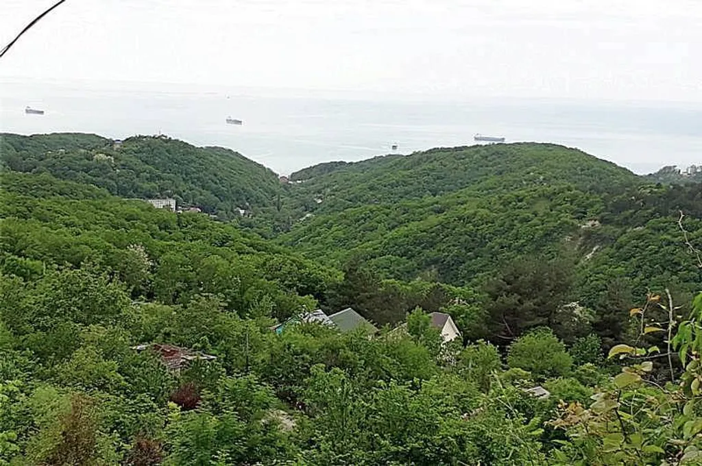 Бревенчатый дом в лесу с бассейном