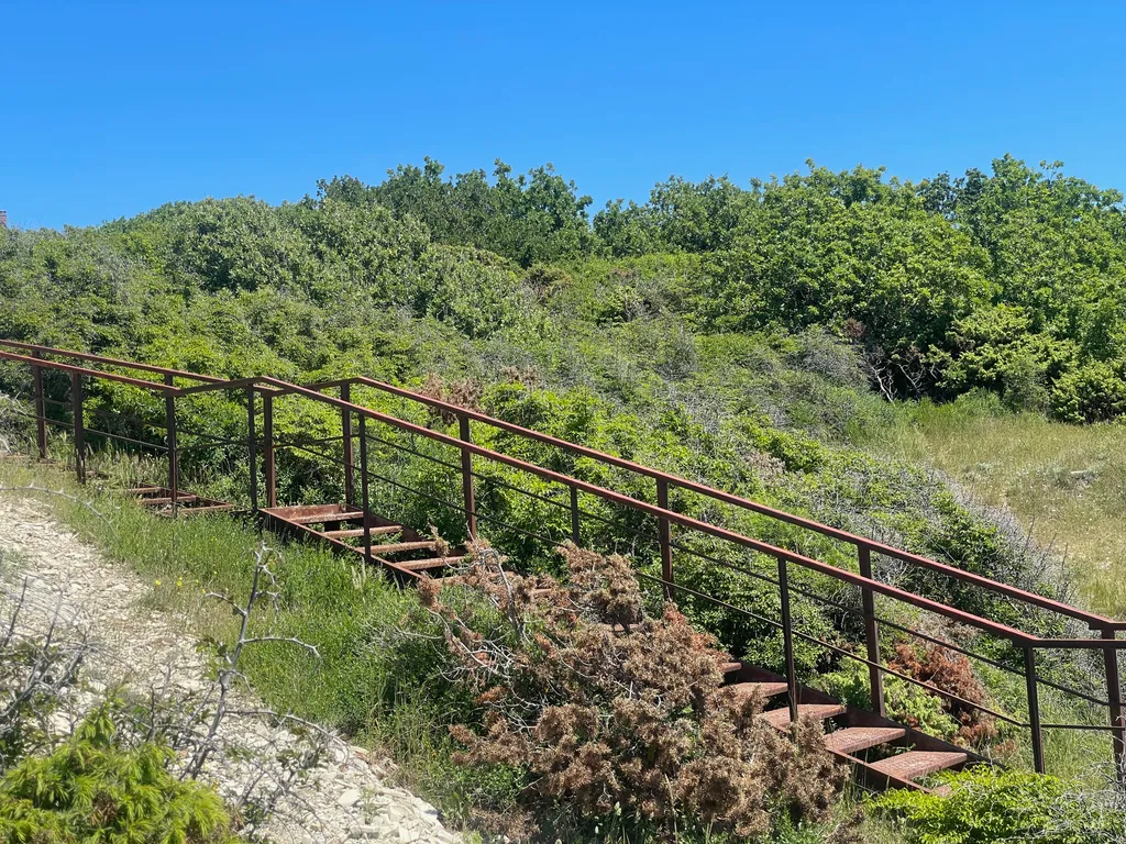 Квартира Комната — Южная Озереевка