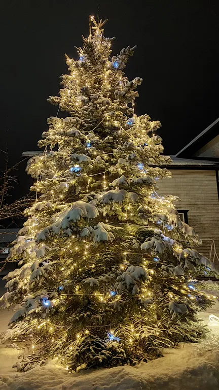 Уютный дом в тихом спальном районе