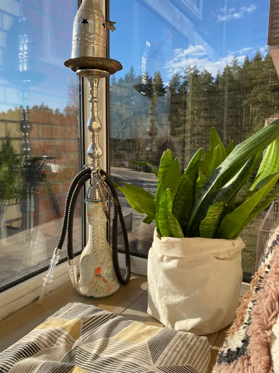 Рядом с лесом