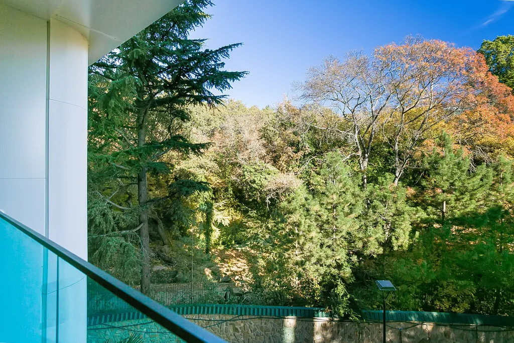 Апартамент Лес на границе с заповедником у моря